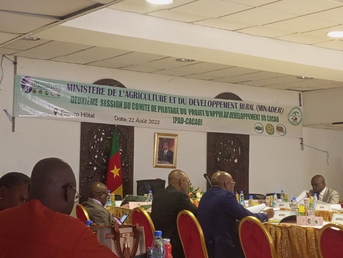 le Cameroun envisage produire plus de 750 mille tonnes de cacao par ans dès 2023. Cet objectif était au centre des travaux de la deuxième session du comité de pilotage du MINADER